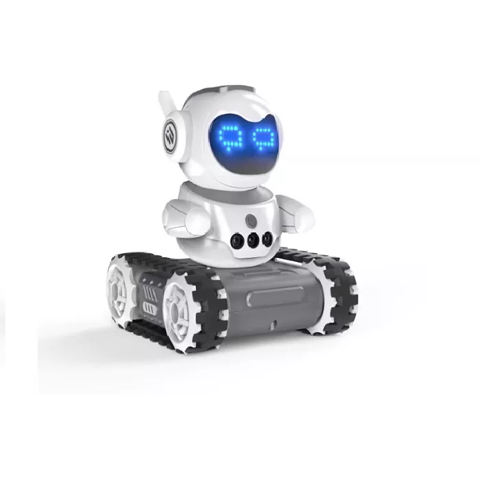 Paano Binabago ng Mga Serbisyong Robot ang Mga Makabagong Industriya at Araw-araw na Buhay?