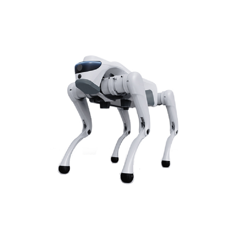 Paano Mababago ng isang Quadruped Robot ang Modern Industrial at Intelligent Applications?