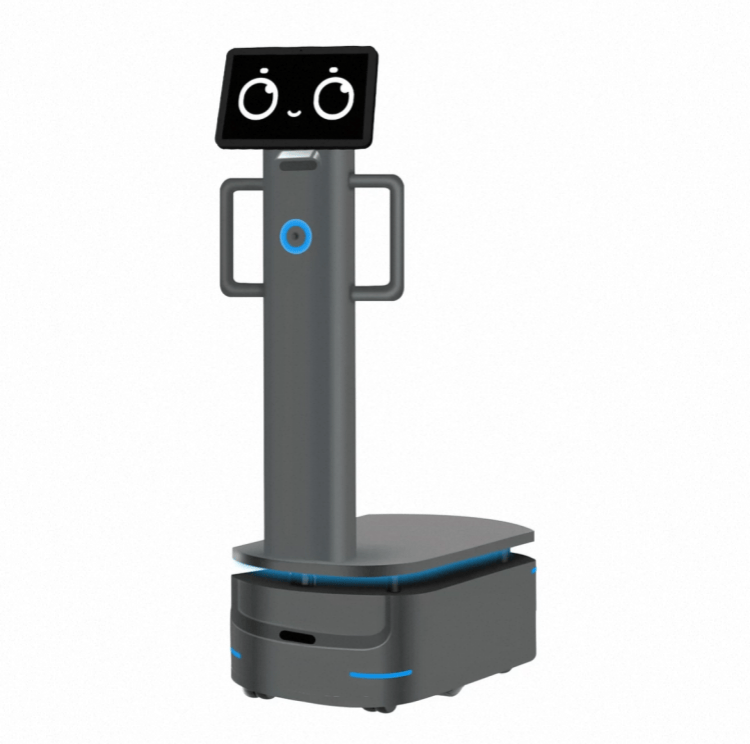 Heavy Payload Robot para sa Industrial Delivery