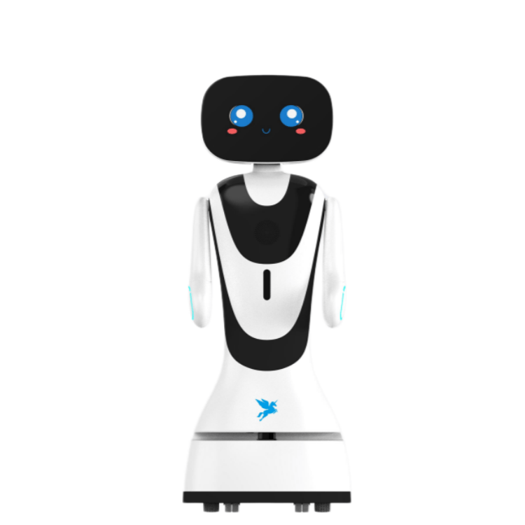 Robot ng Serbisyo sa Lobby ng Hotel