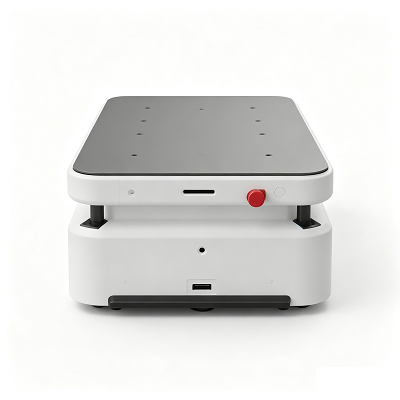 Sa ilalim ng Riding Industrial Pallet Delivery Robot